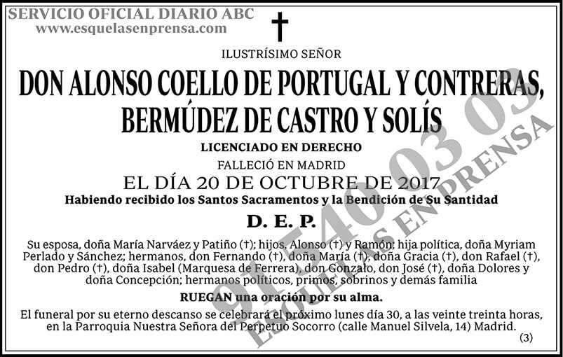 Alonso Coello de Portugal y Contreras, Bermúdez de Castro y Solís